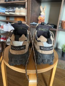 hiking Shoes