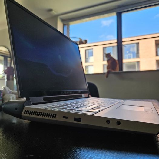 Dell Alienware Area-51m 17.3" Intel Core I9-9900k 256gb 1tb 48gb Nvidia Geforce Rtx 2080