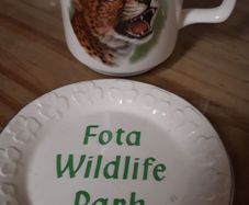Vintage Fota Wildlife Park (mug / Plate ) By  Carrigdhoun  Pottery Co-op Of Cork