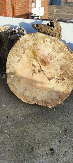 Premium Spalted Beech Wood Slabs 5 Years Air Dried