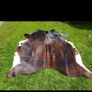 Cow's hide Image 5