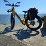 Electric Bicycle Image 3