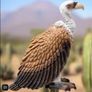 Schleich Vulture Animal Figure Image 8