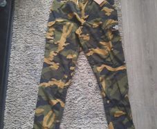 northface cargo bottoms