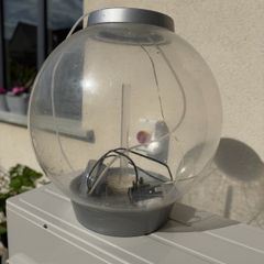 fish tank Biorb