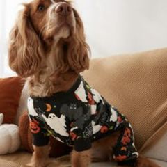 NEXT Dog Costume