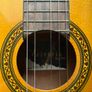 Guitar and case Image 4
