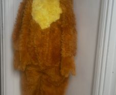 Disney Bear in The Big Blue House Costume 6-8yrs