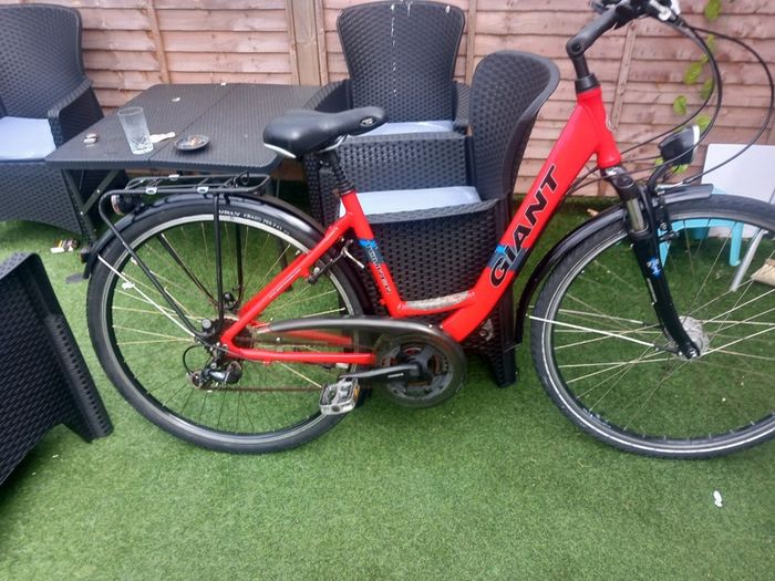 ladies bike