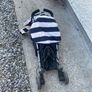 Cosatto stroller Image 10