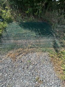 fencing