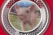2007 Perth mint Year of the Pig 1oz silver coin 999 box+coa