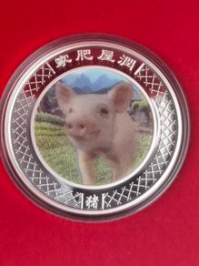 2007 Perth mint Year of the Pig 1oz silver coin 999 box+coa