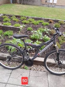 cheap bikes