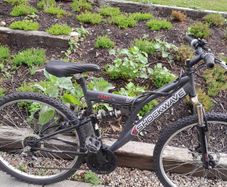 cheap bikes