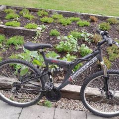 cheap bikes