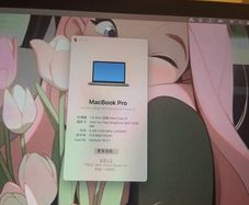 Apple MacBook Pro 13" (2020) Intel i5