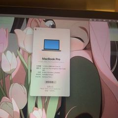 Apple MacBook Pro 13" (2020) Intel i5