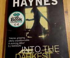 Into The Darkest Corner.  Elizabeth Haynes