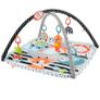 fisher price  baby playmat Image 3