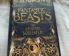 Hardback: Fantastic beasts and where to find them Playwrite