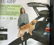 Dog Ramp