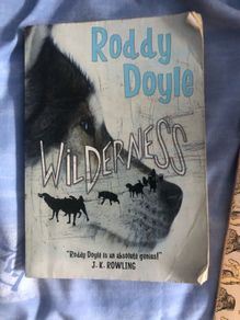 Roddy Doyle wilderness