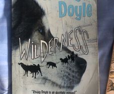 Roddy Doyle wilderness
