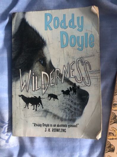 Roddy Doyle wilderness