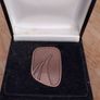 Gaisce the President's Award Medal and Pin Original Box 2011 Image 2