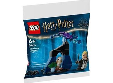 LEGO Harry Potter Philosopher's Stone Draco in the Forbidden Forest (30677)