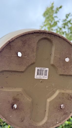 Large pot