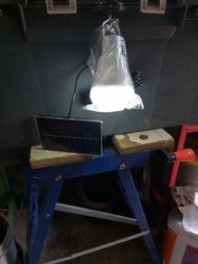 Solar light