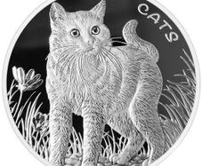 2021 Fiji 50 Cents 1oz Silver Bullion Coin - Cats. Proof-like. (In Capsule)