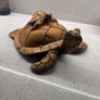 handcrafted sea turtle figurine Image 3