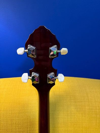 Samick Artist Series 4-string tenor banjo + soft case