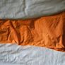 DC snowboard pants Image 4
