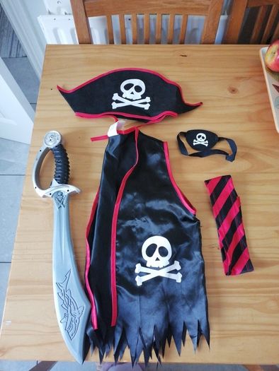 Halloween Pirate costume