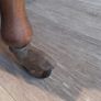 wooden trolley Image 6