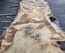 Pile of Air dried Irish Oak Slabs / Boards . Live / Waney / Natural Edge
