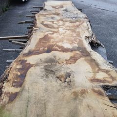 Pile of Air dried Irish Oak Slabs / Boards . Live / Waney / Natural Edge