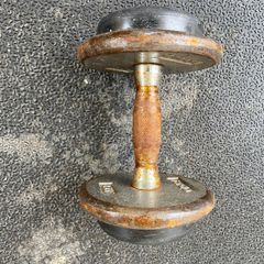 Jordan Dumbbell pair 7.5kg