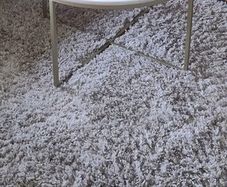 free rug