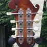 Vanden Mandolin Image 4