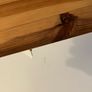 IKEA ELGA Wardrobe with glass sliding doors Image 9