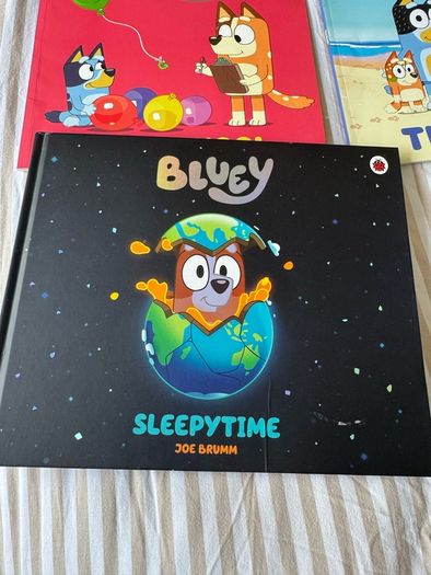 Bluey kids book bundle