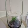 Artificial Succulent Image 4