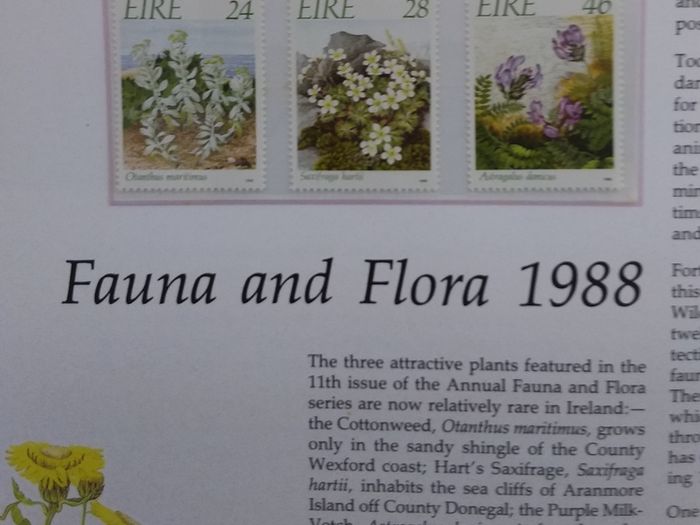 Ireland Mint Stamps : The Irish Stamp Yearbook 1988-89