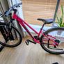 Ridgeback Mountain Bike 13 inch, Frame 27.5" Image 4