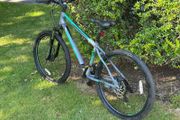 Psycho Mountain Bike